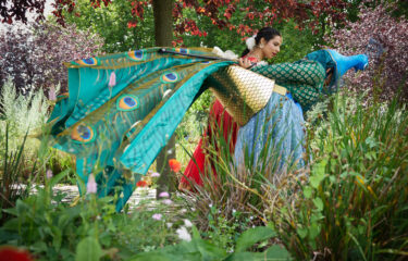 Image of Mughal Miniatures performance