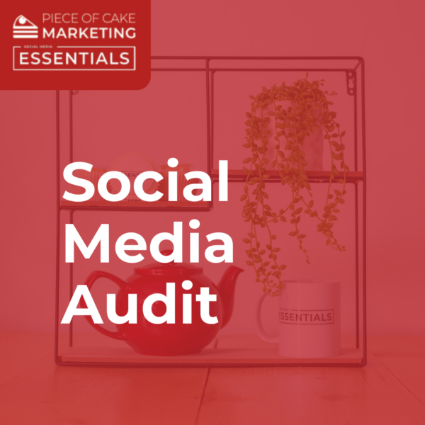 social media audit