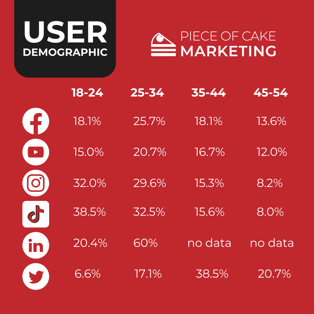 Social Media Platform User Demographics