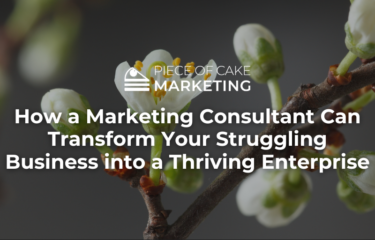 How a Marketing Consultant Can Transform Your Struggling Business into a Thriving Enterprise