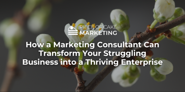 How a Marketing Consultant Can Transform Your Struggling Business into a Thriving Enterprise